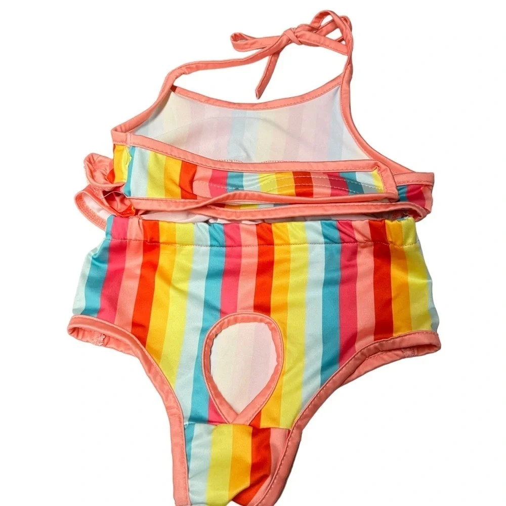 Adorable Dog 2-piece Rainbow Striped Dog Bikini Swimsuit Size Large